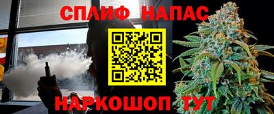 стафф Моздок