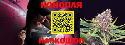 стафф Моздок