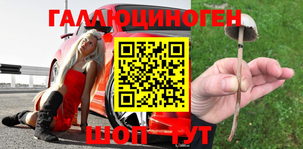 Псилоцибиновые грибы Psilocybe  Галлюциногенные грибы мухоморы  Вход с VPN  Еманжелинск 